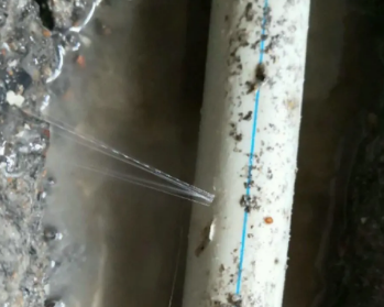 加查卫生间测漏水多少钱