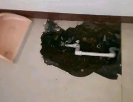 加查卫生间测漏水多少钱